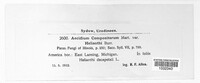 Image Associated With the Occurence